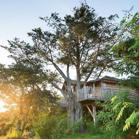 La Gree Des Landes - Eco-Hotel-Spa Yves Rocher La Gacilly Eksteriør billede