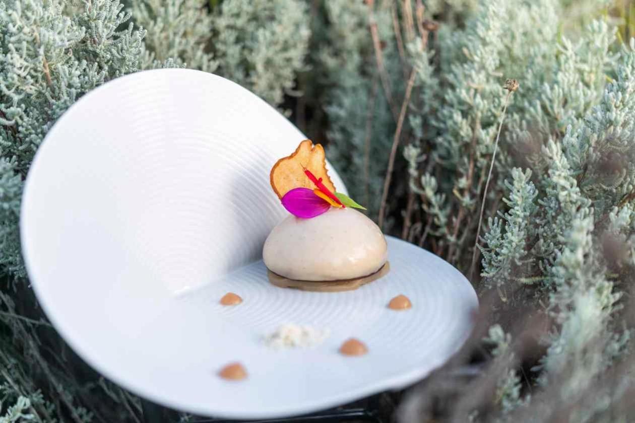 La Gree Des Landes - Eco-Hotel-Spa Yves Rocher La Gacilly Eksteriør billede