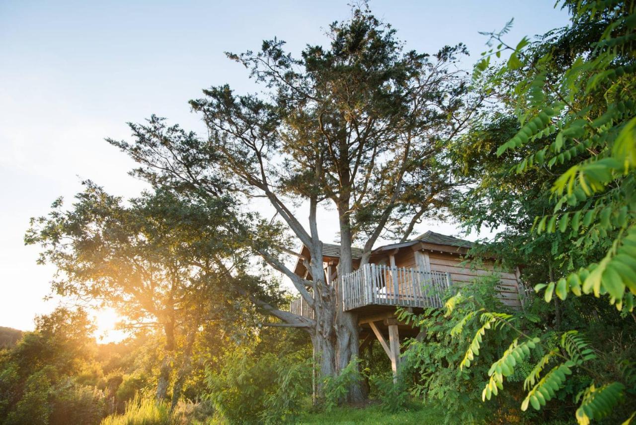 La Gree Des Landes - Eco-Hotel-Spa Yves Rocher La Gacilly Eksteriør billede